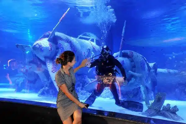 Antalya Aquarium with Transfer 3