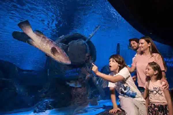 Antalya Aquarium with Transfer 4