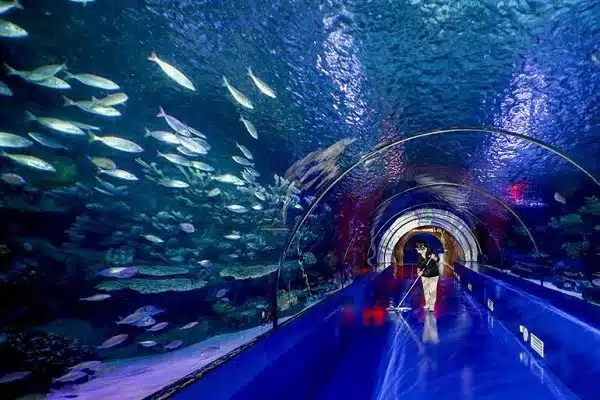 Antalya Aquarium with Transfer 5