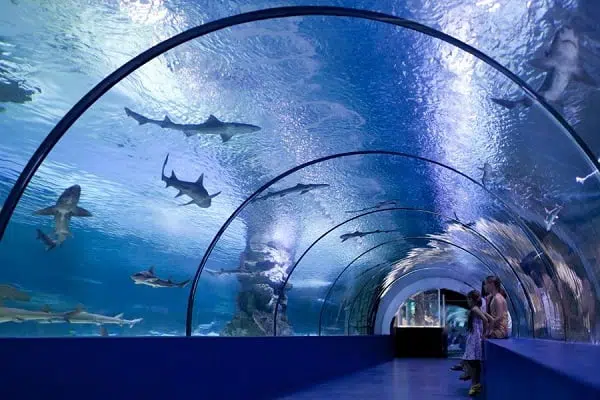 Antalya Aquarium with Transfer 6