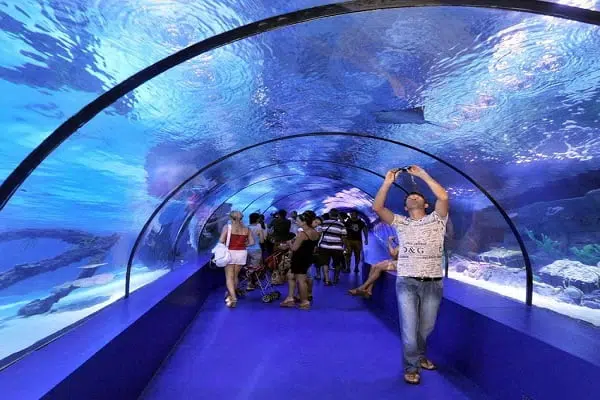 Antalya Aquarium with Transfer 7