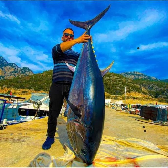 Antalya Big Game Fishing 2