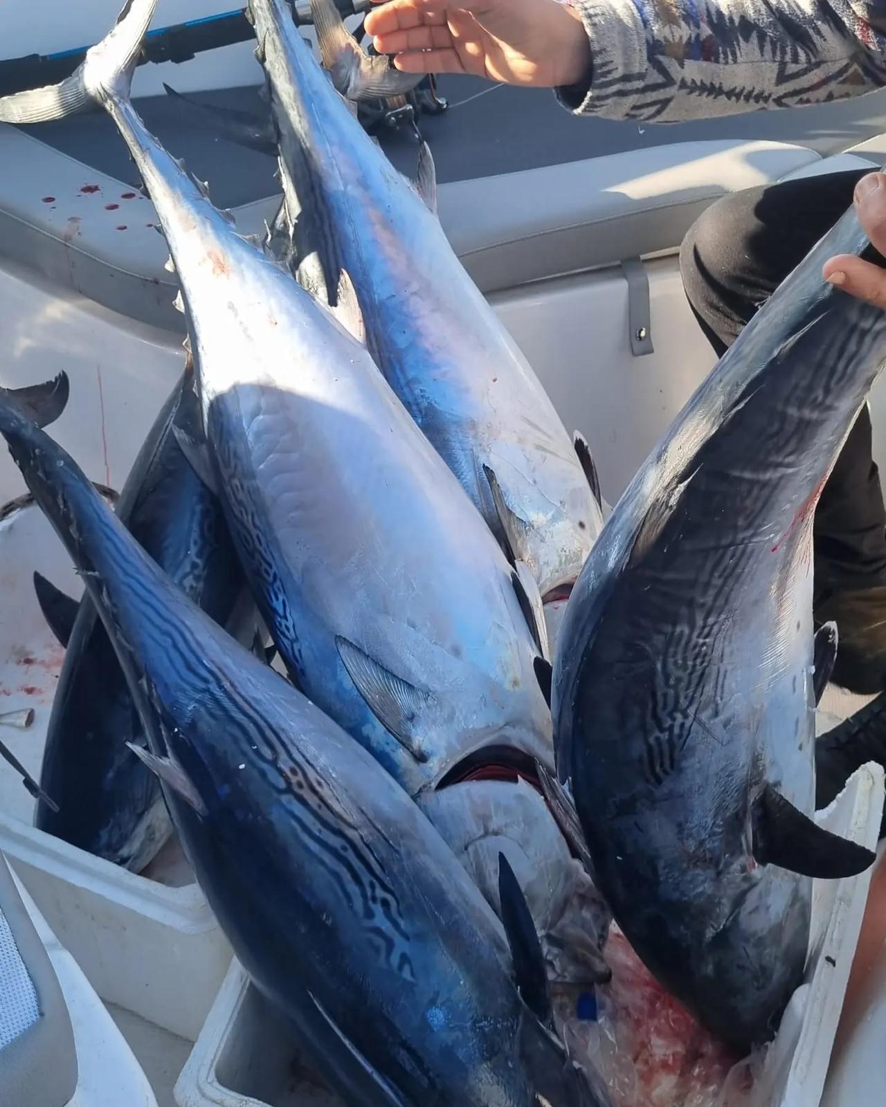 Antalya Big Game Fishing 4