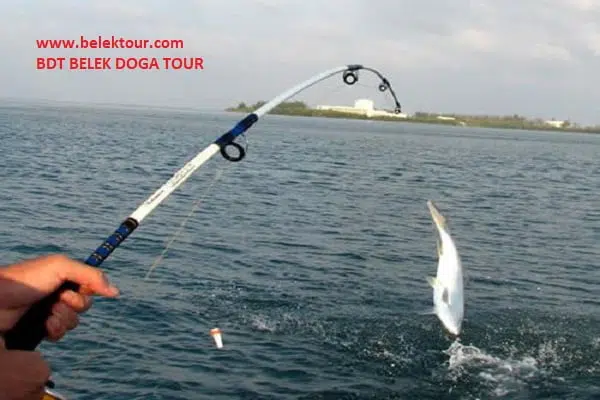 Fishing Tour in the Sea (Antalya) 10
