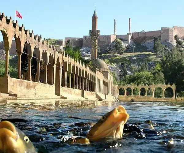 Göbeklitepe & Urfa Tour from Antalya (with Flight) 2