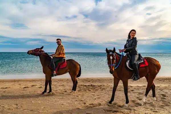 Horse Safari - Lara Beach Riding 4