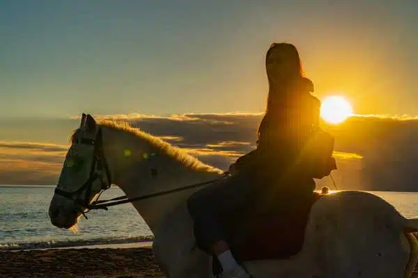 Horse Safari - Lara Beach Riding 5