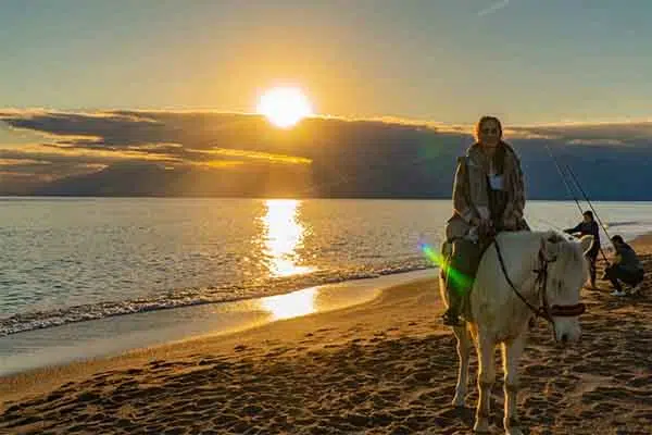 Horse Safari - Lara Beach Riding 7