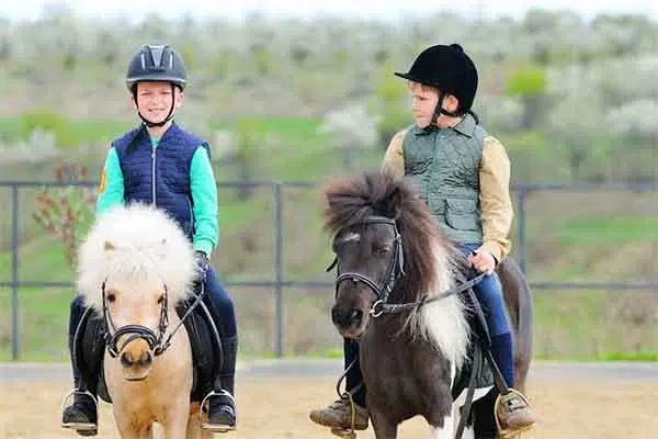Horse Safari - Lara Beach Riding 8