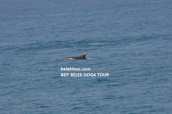 Private Boat Tour 13