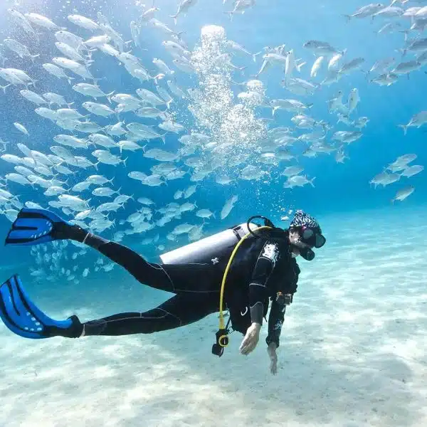 Antalya Scuba Diving – Turtle Island 2