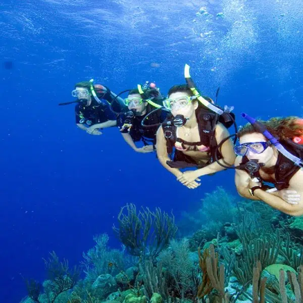 Antalya Scuba Diving – Turtle Island 3