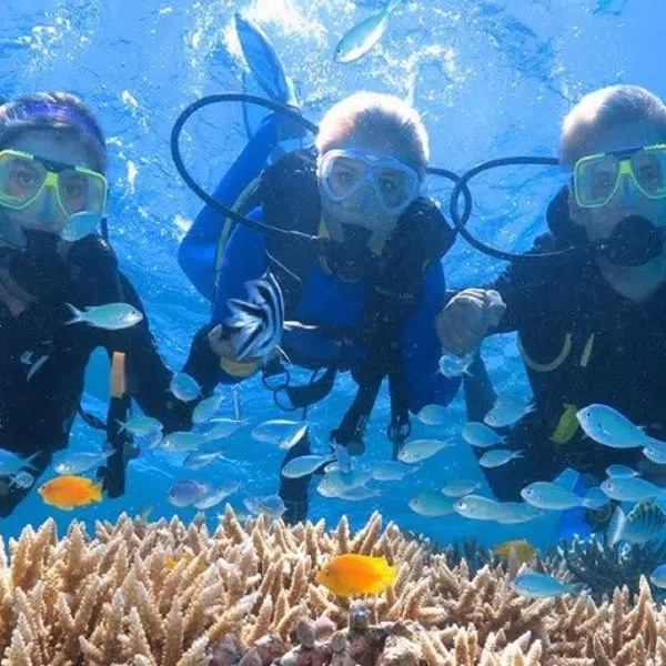 Antalya Scuba Diving – Turtle Island 4