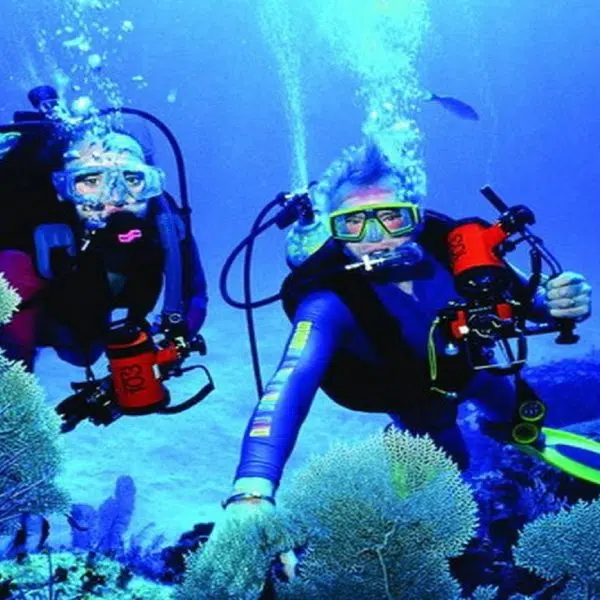 Antalya Scuba Diving – Turtle Island 5