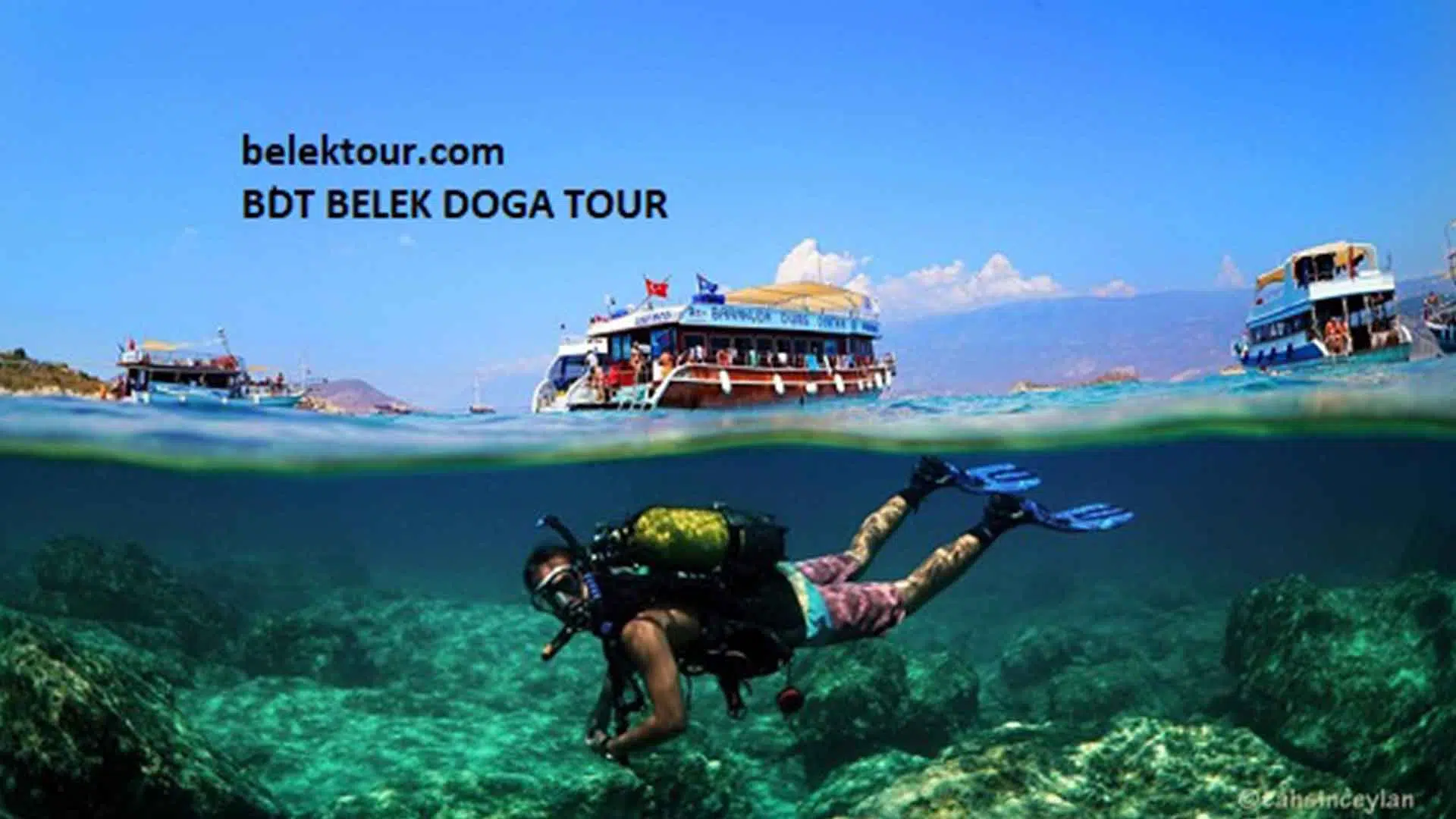 Antalya Scuba Diving – Turtle Island 1