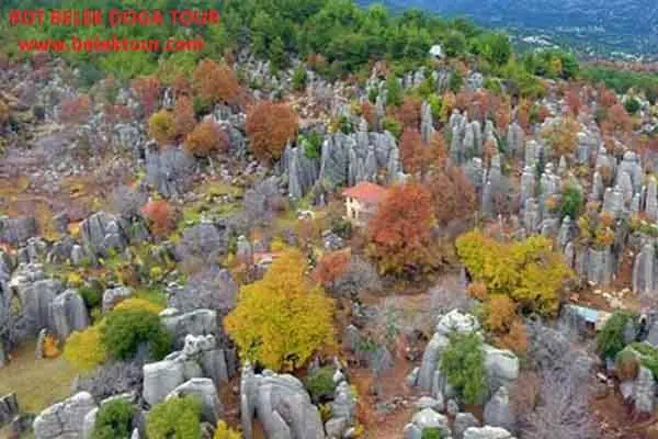Tazı Canyon - Adam Stones - Selge Ancient City 9